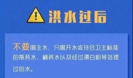 诏安媒体爆料最新消息,重大事件揭秘，详情即将揭晓！